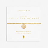 A LITTLE LIVE IN THE MOMENT -