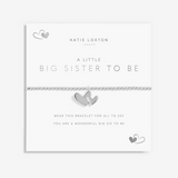 A LITTLE BIG SISTER TO BE!