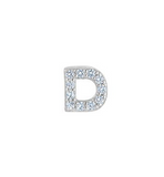 PLATINUM FINISHED SS D INITIAL