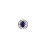 PLATINUM FINSH SS MICROPAVE RO