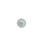 PLATINUM FINSH SS MICROPAVE RO