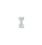 PLATINUM FINISH SS MICROPAVE I