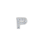 PLATINUM FINISH SS MICROPAVE P