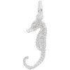 SEAHORSE
