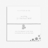 A LITTLE SYMPATHY SILVER