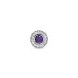 PLATINUM FINSH SS MICROPAVE RO