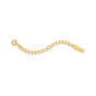 EXTENDER CHAIN