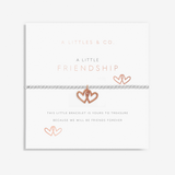 A LITTLE FRIENDSHIP