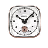 Citizen Clocks