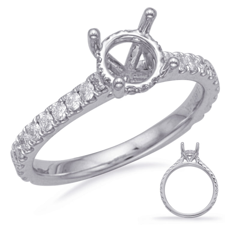 14 Kt White Gold Halo - Hidden Engagement Rings