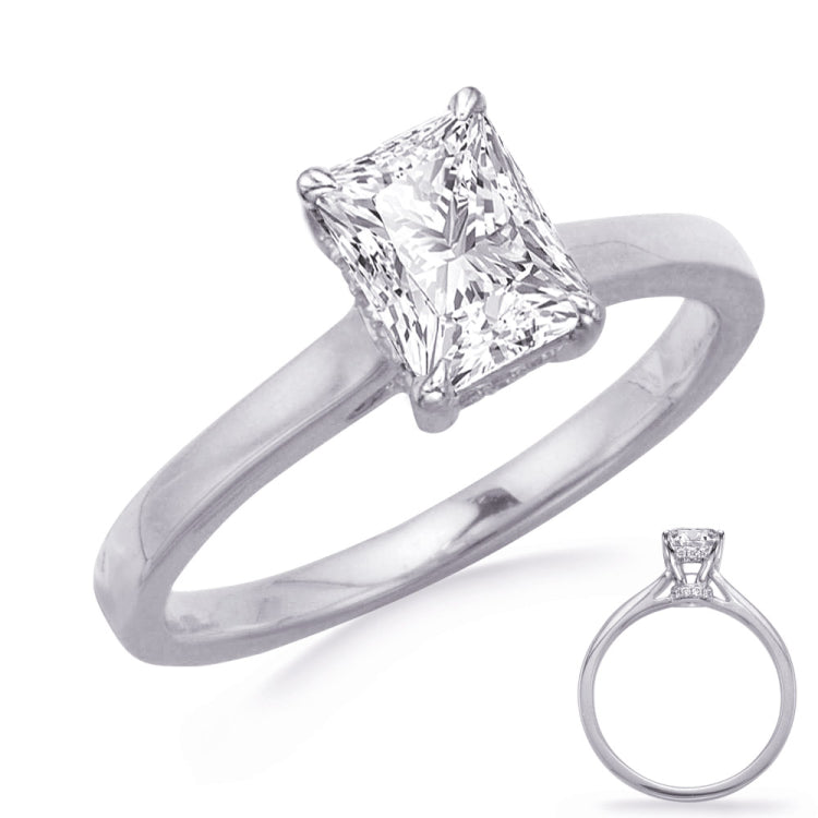 14 Kt White Gold Halo - Hidden Engagement Rings
